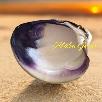 2-Tone-Matrix Lavender Wampum Shell Beads From New York/Rhode Island (America's First Currency From Year 1637-1673) Smooth Heishi