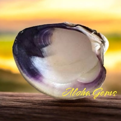 2-Tone-Matrix Lavender Wampum Shell Beads From New York/Rhode Island (America's First Currency From Year 1637-1673) Smooth Heishi