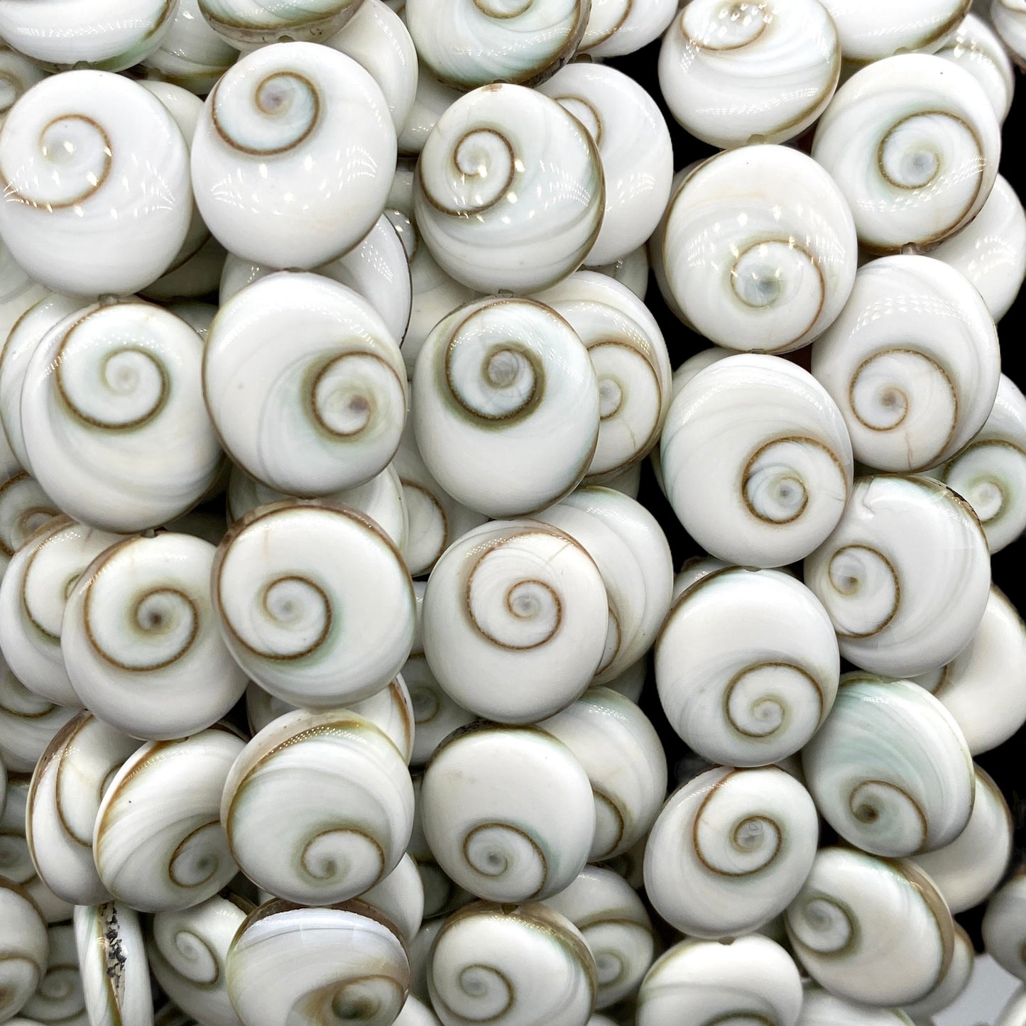 Shiva Eye Shell Beads From Pacific Ocean (AAA Whitest White Quality - Every Bead Made From Two Operculum Shells - Matching Spiral Matrix) Chakra Energy Doublet Oval Shape (Protective Door of the Snail Shell)