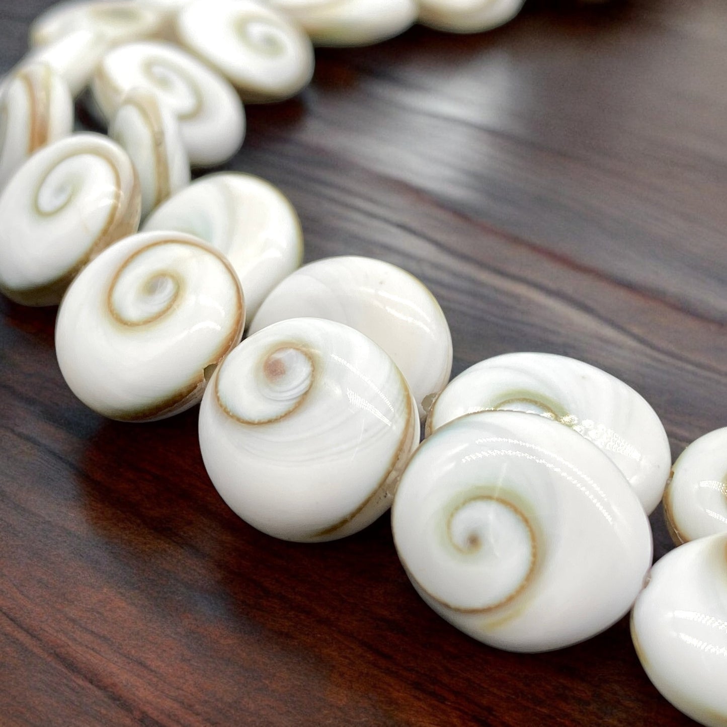 Shiva Eye Shell Beads From Pacific Ocean (AAA Whitest White Quality - Every Bead Made From Two Operculum Shells - Matching Spiral Matrix) Chakra Energy Doublet Oval Shape (Protective Door of the Snail Shell)