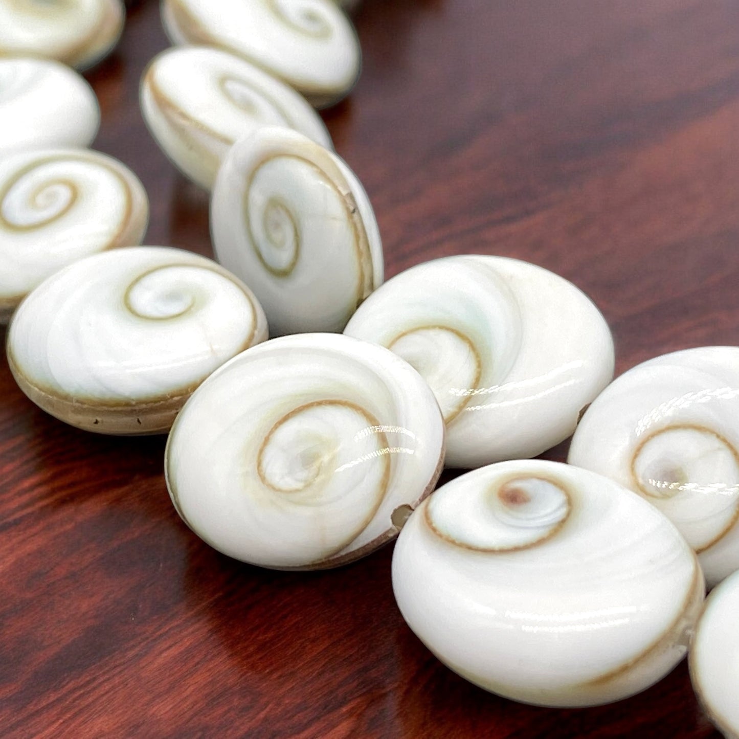 Shiva Eye Shell Beads From Pacific Ocean (AAA Whitest White Quality - Every Bead Made From Two Operculum Shells - Matching Spiral Matrix) Chakra Energy Doublet Oval Shape (Protective Door of the Snail Shell)