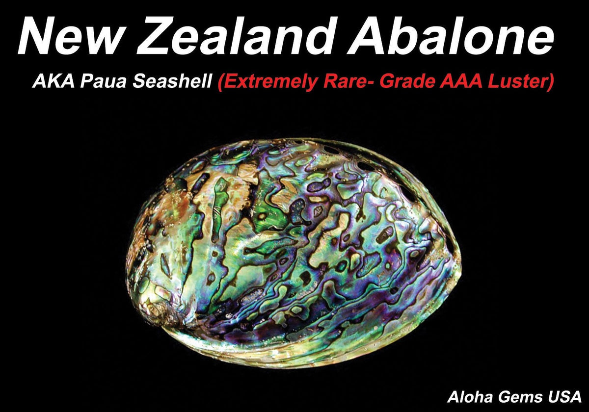 Gem-Quality New Zealand Abalone (Gorgeous Thick Nacre- Exquisite Luster & Iridescent Matrix) 15X25mm Rectangle Cabochons (12 Pieces)