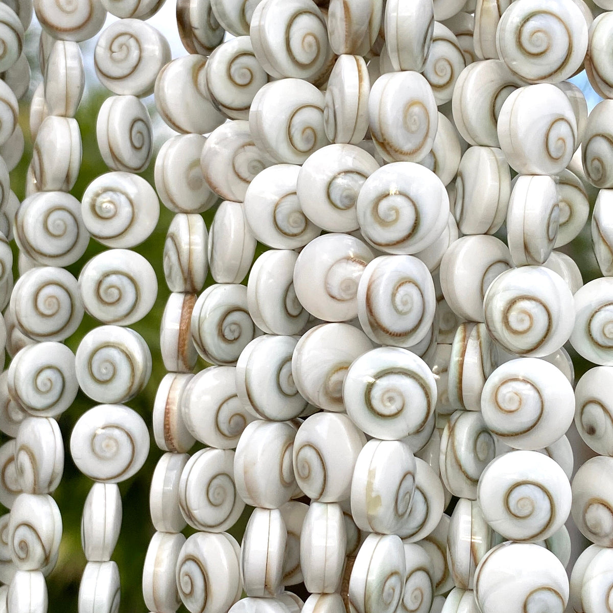 Double Shiva Eye Shell Beads From Pacific Ocean (Each Bead Hand Carved From 2 Operculum Shells) Matching Front & Back - Flat Edge - Coin