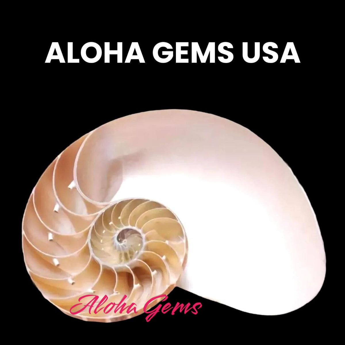 Real Tiger Nautilus Shell Beads - Never Dyed or Color Enhanced - Small Batch Production - Center Drilled Heart 20mm (8 Inches - 11 Beads)