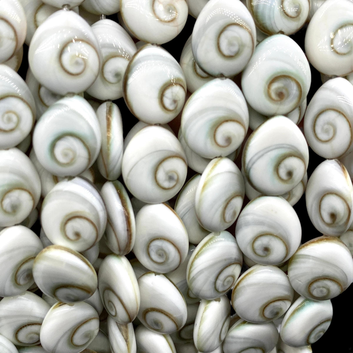 2in1 DOUBLET Shiva Eye Shell Beads From Indo-Pacific AAA (Extra Smooth - Matching Matrix) Natural - Never Dyed or Color Enhanced - Tear Drop