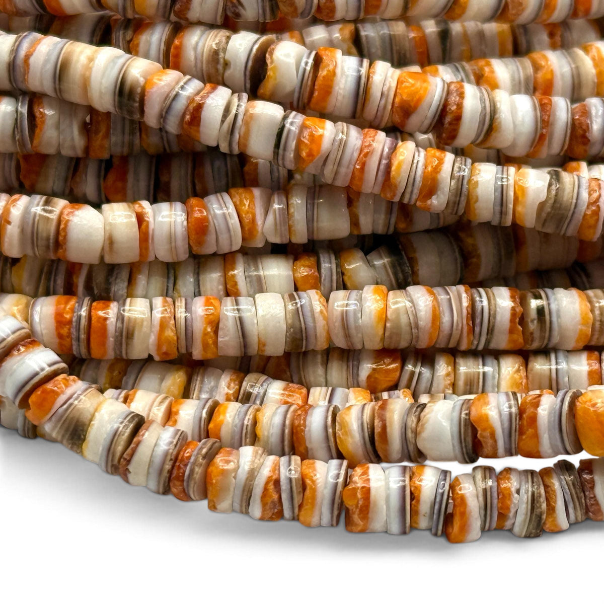 Spiny Oyster Shell & Tiger Cowrie Shell Mixed Beads - Never Dyed or Color Enhanced - Small Batch Production - Mens Jewelry Making - 5mm