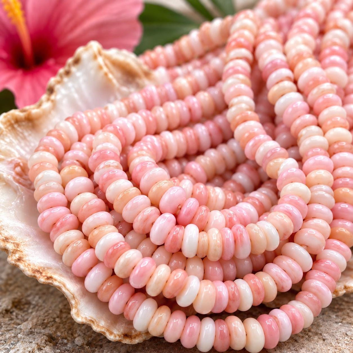 Multiple Shades Queen Conch Shell Beads Bahamas AAA (Cut From Different Part of Shell) Natural Organic-Thickness Smooth Irregular Freeform