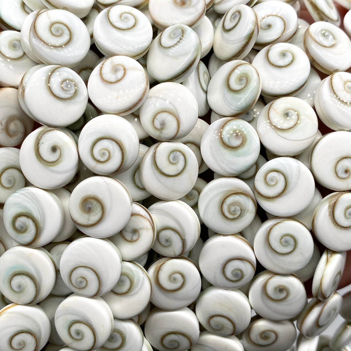 Shiva Eye Shell Beads From Pacific Ocean (AAA Whitest White Quality - Every Bead Made From Two Operculum Shells - Matching Spiral Matrix) Chakra Energy Doublet Coin Shape (Protective Door of the Snail Shell)