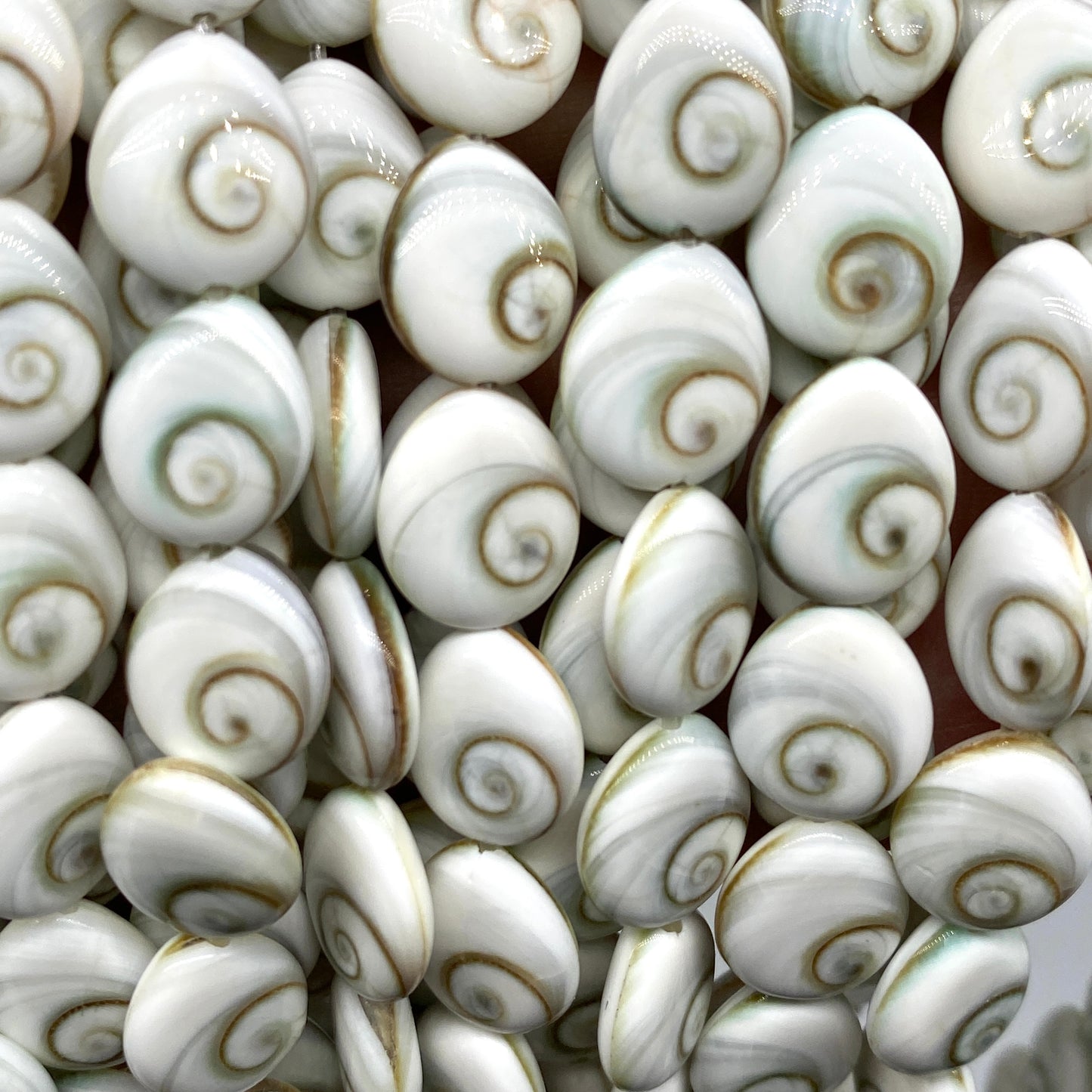 Shiva Eye Shell Beads From Pacific Ocean (AAA Whitest White Quality - Every Bead Made From Two Operculum Shells - Matching Spiral Matrix) Chakra Energy Doublet Tear Drop Shape (Protective Door of the Snail Shell)