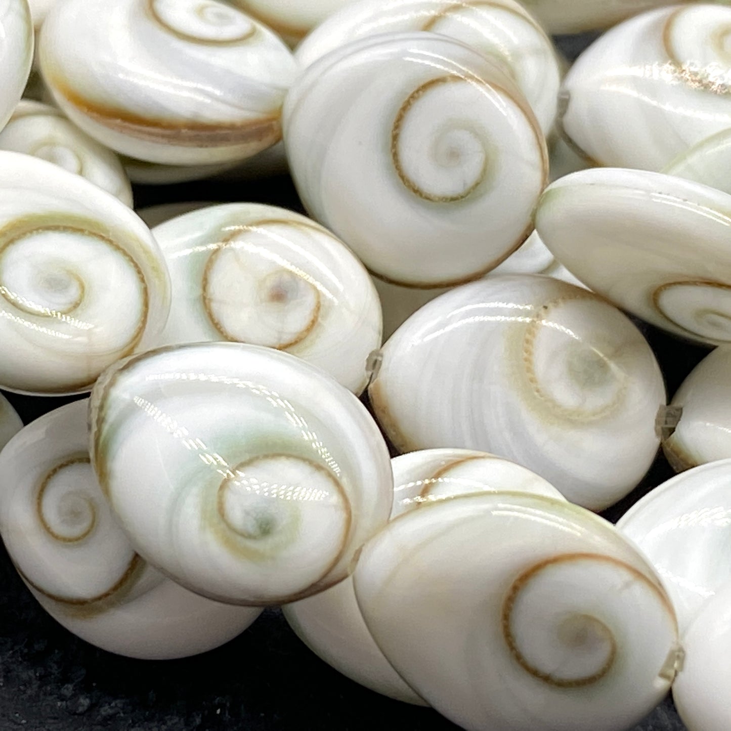 Shiva Eye Shell Beads From Pacific Ocean (AAA Whitest White Quality - Every Bead Made From Two Operculum Shells - Matching Spiral Matrix) Chakra Energy Doublet Tear Drop Shape (Protective Door of the Snail Shell)