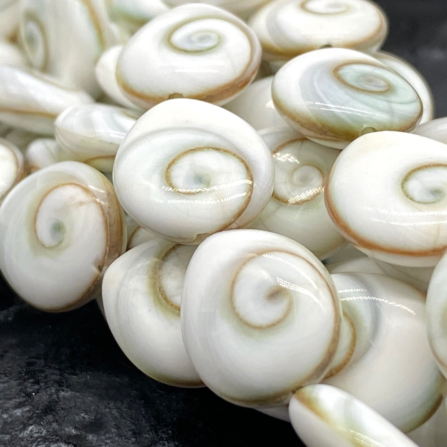 Shiva Eye Shell Beads From Pacific Ocean (AAA Whitest White Quality - Every Bead Made From Two Operculum Shells - Matching Spiral Matrix) Chakra Energy Doublet Tear Drop Shape (Protective Door of the Snail Shell)