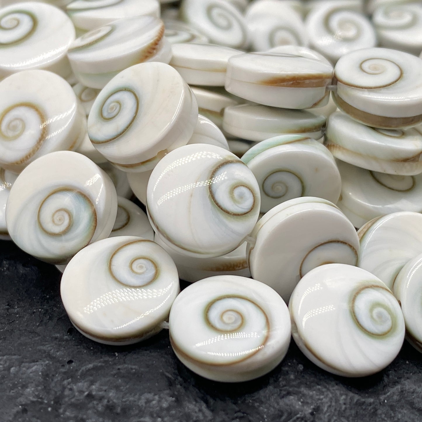Whitest-White Shiva Eye Shell Beads From Pacific Ocean (Every Bead Made From Two Operculum Shells - Matching Spiral Matrix) Chakra Energy Doublet Coin Shape (Protective Door of the Snail Shell)