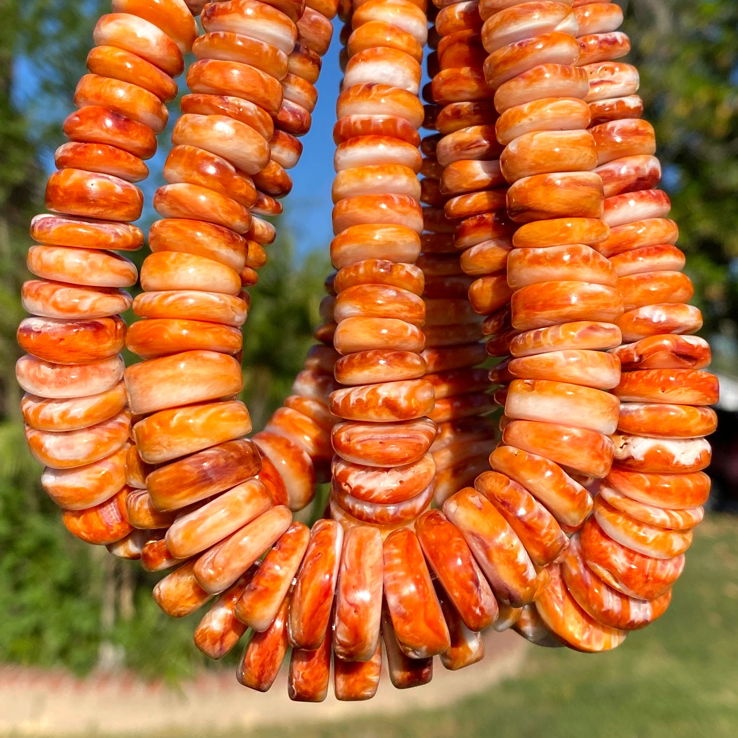 Gigantic Orange Spiny Oyster Shell Beads From Mexico (Minimal White Part - Organic Thickness) Native American Style - Graduated Free Form Rondelle Heishi Shape - DIY Jewelry Making (Photo Doesn't Do It Justice)