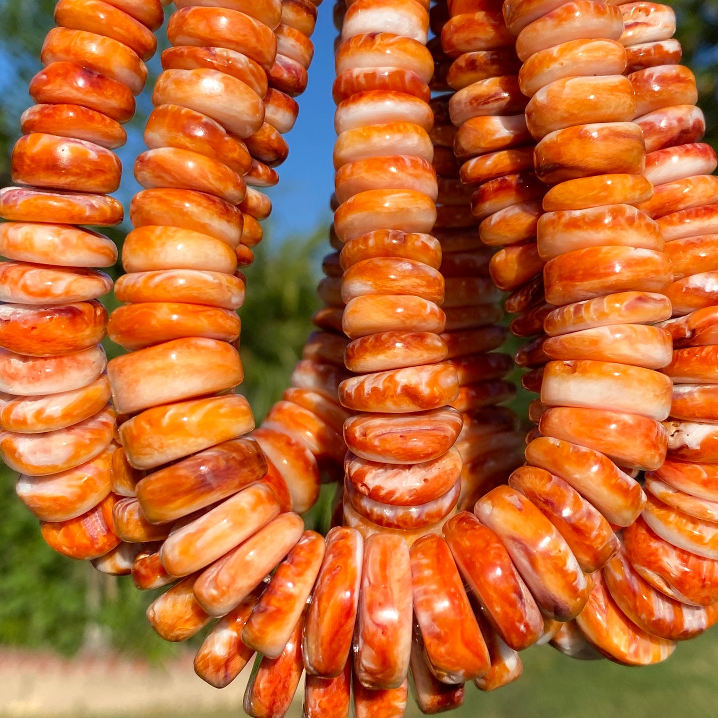 Gigantic Orange Spiny Oyster Shell Beads From Mexico (Minimal White Part - Organic Thickness) Native American Style - Graduated Free Form Rondelle Heishi Shape - DIY Jewelry Making (Photo Doesn't Do It Justice)