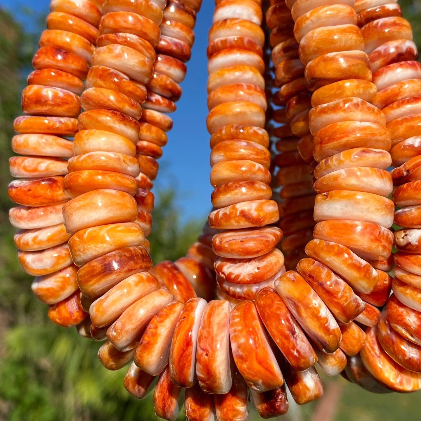 Gigantic Orange Spiny Oyster Shell Beads From Mexico (Minimal White Part - Organic Thickness) Native American Style - Graduated Free Form Rondelle Heishi Shape - DIY Jewelry Making (Photo Doesn't Do It Justice)