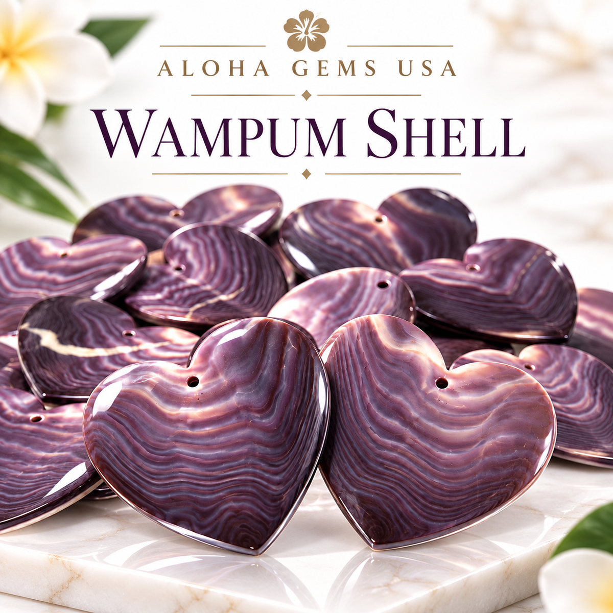 Wampum Shell