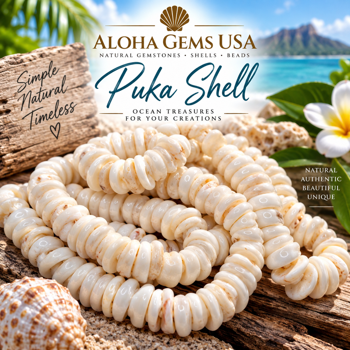 Puka Shell (Hawaii)