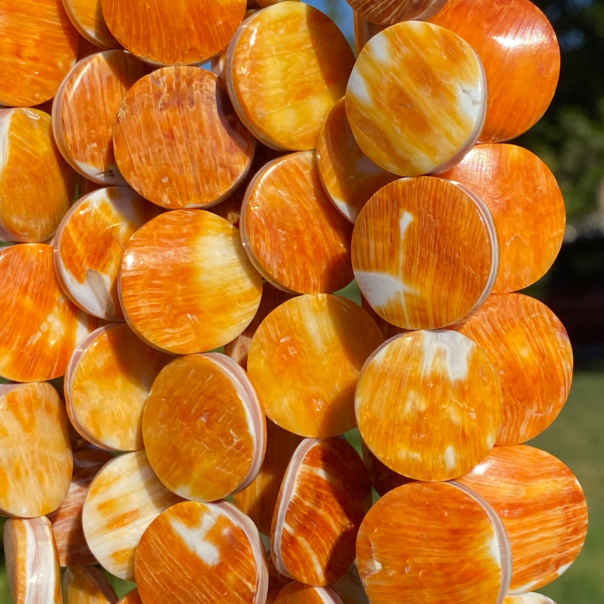 Sunset-Orange Spiny Oyster Shell Beads From Mexico (Doublet - Crafted From 2 Raw Shells to Form One Bead) Smooth Coin 20mm