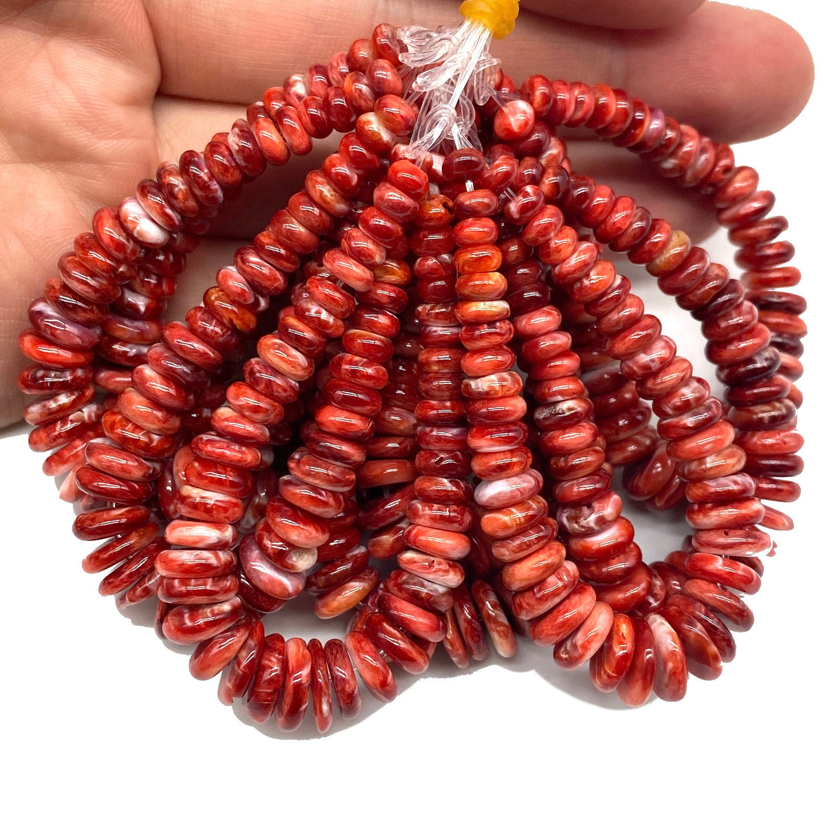 DARKEST Red Spiny Oyster Shell Beads AAA (JACLA Pendant) Small Batch Production - Rounded Edges - Graduated 5-10mm Rondelle (5 Inches)
