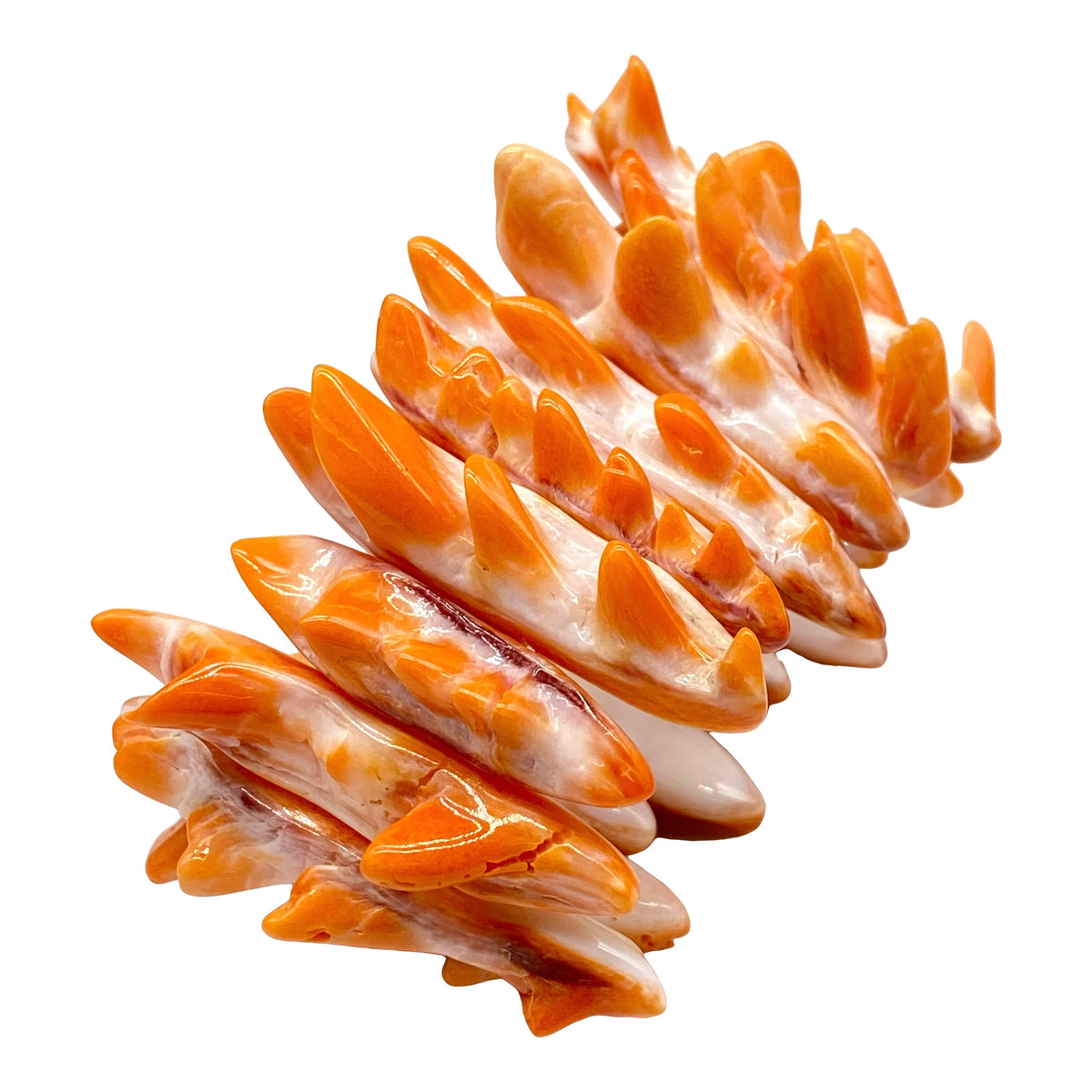 WOW Orange Spiny Oyster Shell Beads Bracelet Mexico - 100% Natural - Never Dyed or Color Enhanced - Double-Drilled Elastic 7"
