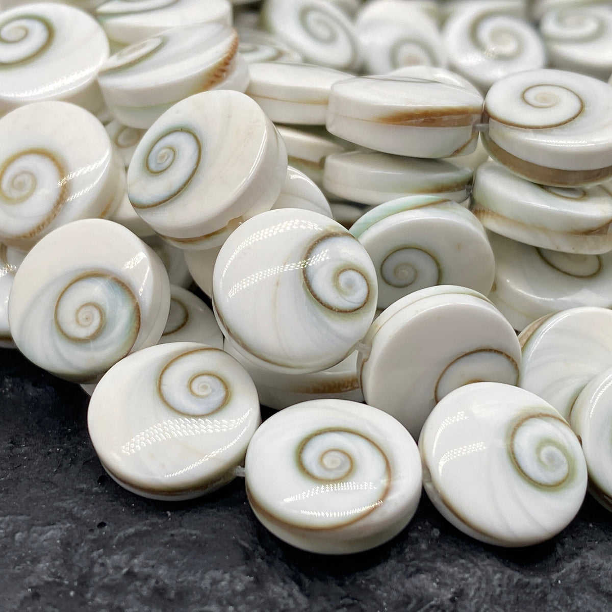 Double Shiva Eye Shell Beads From Pacific Ocean (Each Bead Hand Carved From 2 Operculum Shells) Matching Front & Back - Flat Edge - Coin