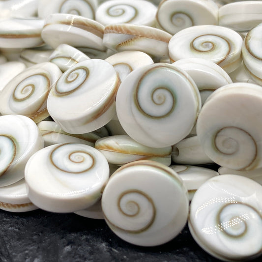 Double Shiva Eye Shell Beads From Pacific Ocean (Each Bead Hand Carved From 2 Operculum Shells) Matching Front & Back - Flat Edge - Coin