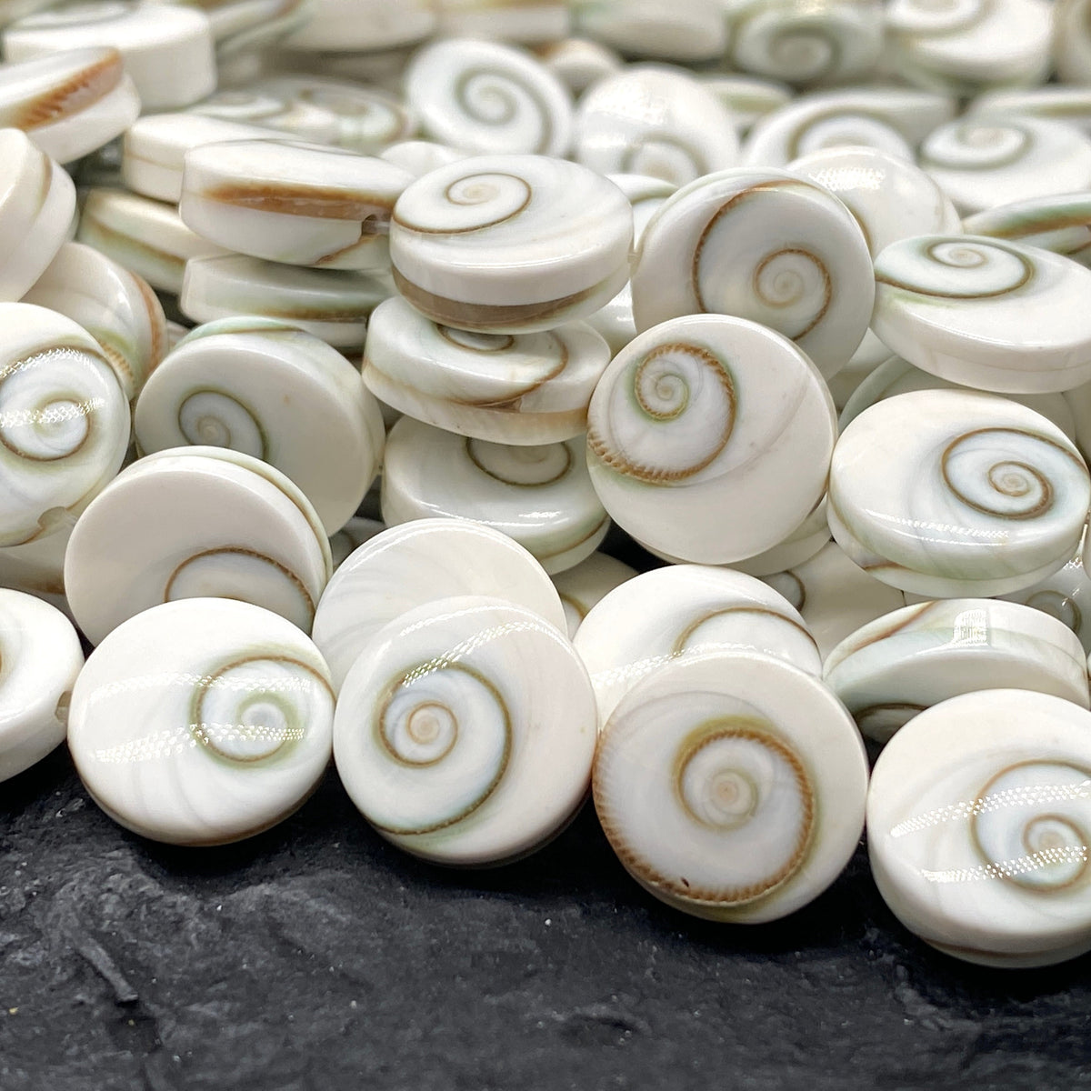 Double Shiva Eye Shell Beads From Pacific Ocean (Each Bead Hand Carved From 2 Operculum Shells) Matching Front & Back - Flat Edge - Coin