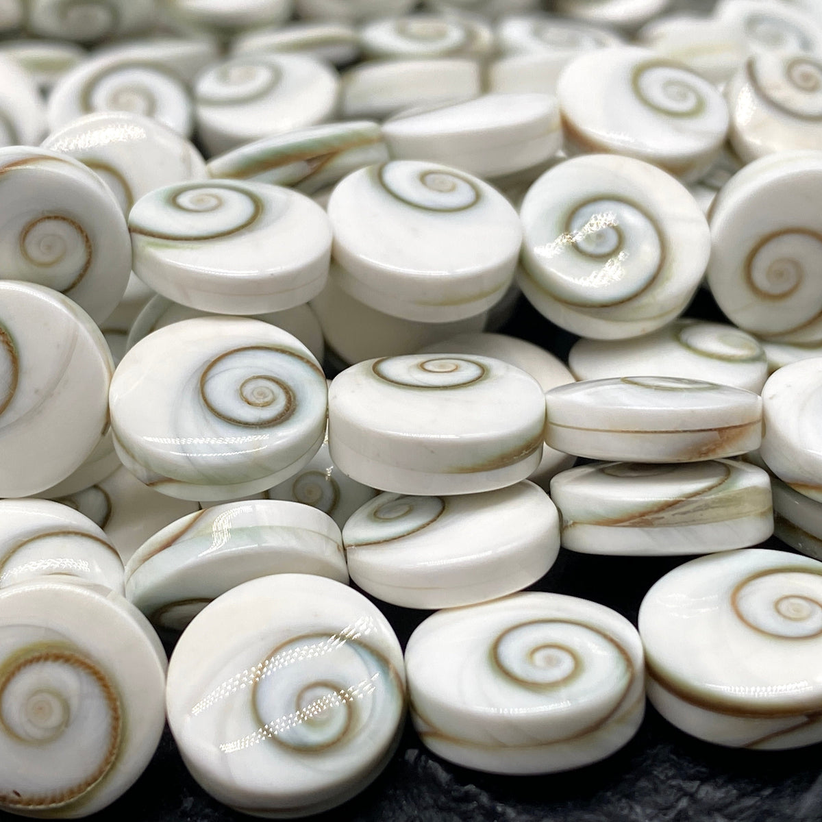 Double Shiva Eye Shell Beads From Pacific Ocean (Each Bead Hand Carved From 2 Operculum Shells) Matching Front & Back - Flat Edge - Coin
