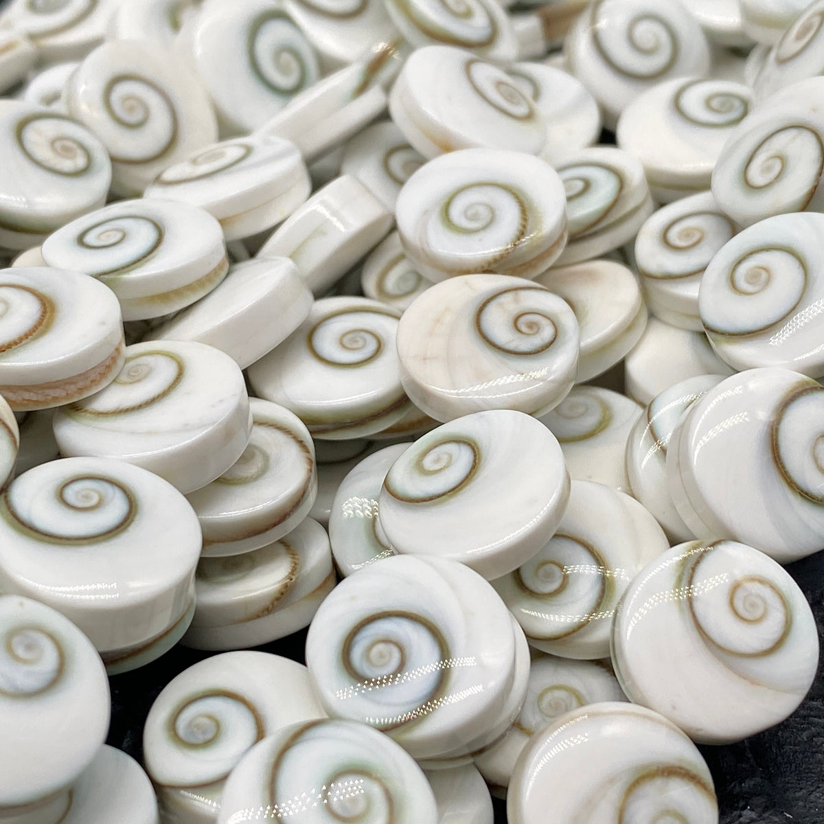 Double Shiva Eye Shell Beads From Pacific Ocean (Each Bead Hand Carved From 2 Operculum Shells) Matching Front & Back - Flat Edge - Coin