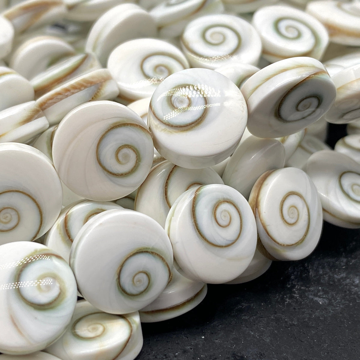 Double Shiva Eye Shell Beads From Pacific Ocean (Each Bead Hand Carved From 2 Operculum Shells) Matching Front & Back - Flat Edge - Coin