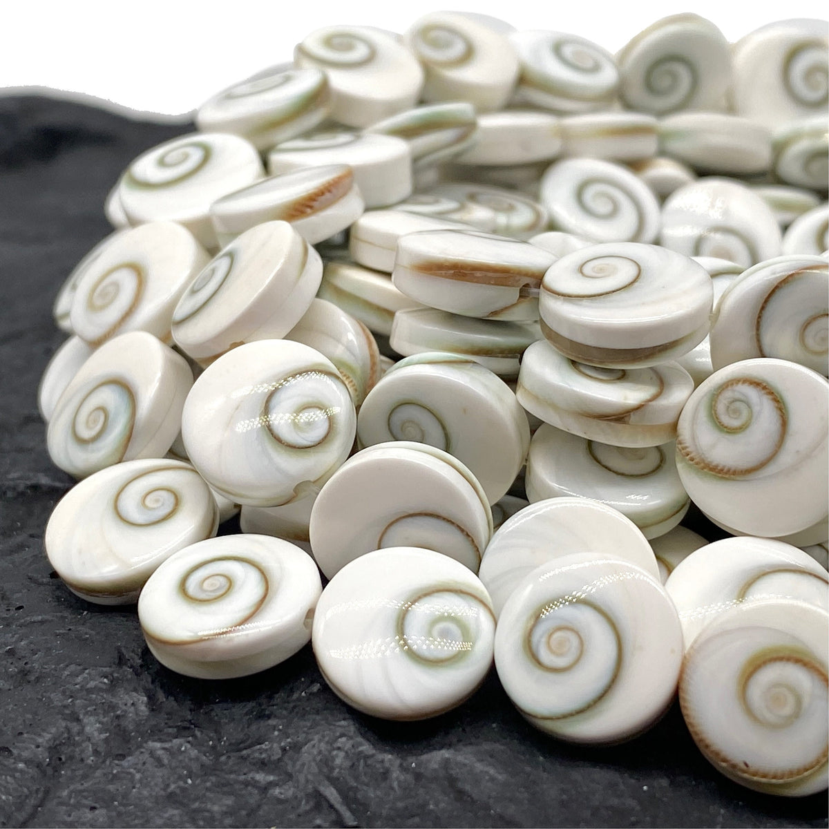 Double Shiva Eye Shell Beads From Pacific Ocean (Each Bead Hand Carved From 2 Operculum Shells) Matching Front & Back - Flat Edge - Coin