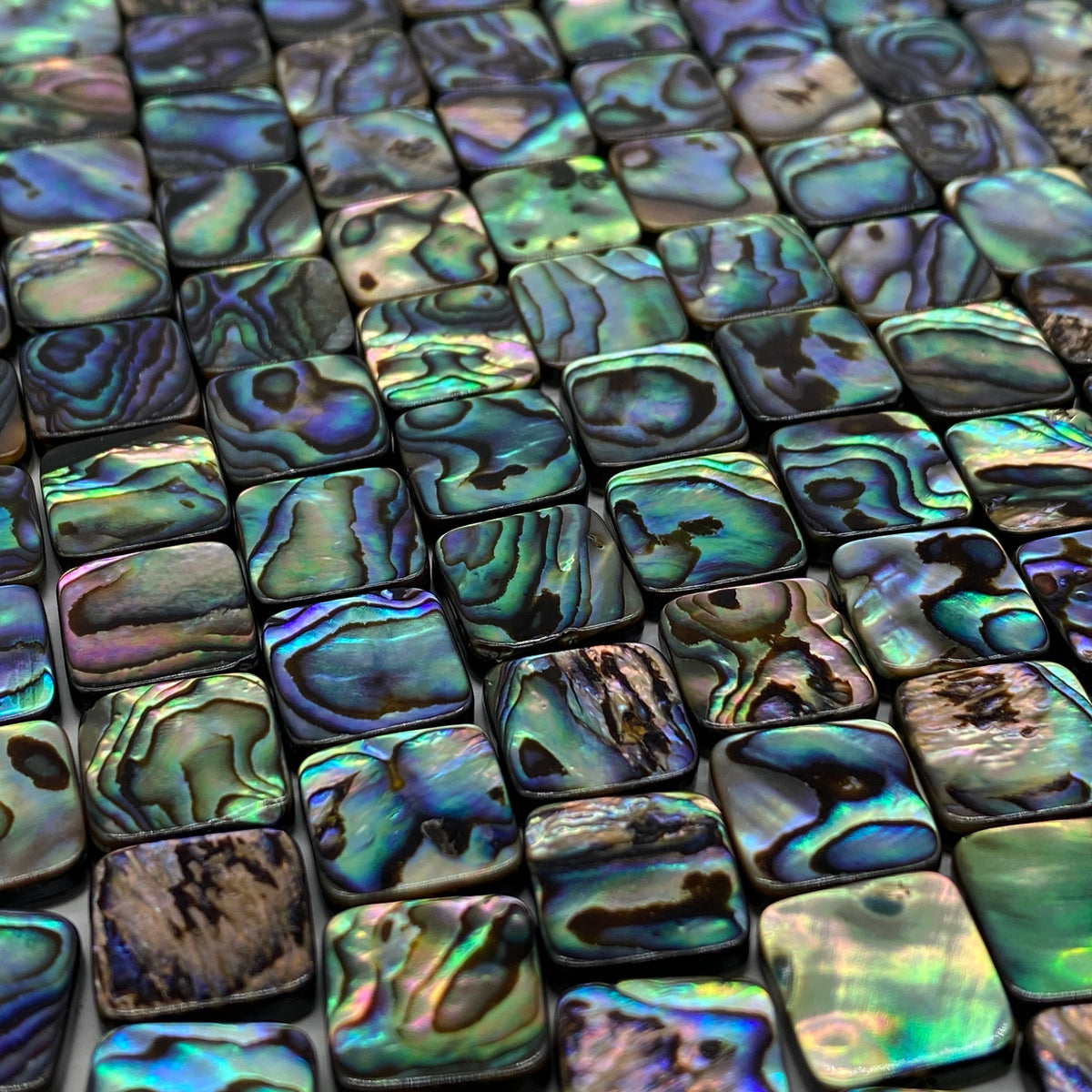 New Zealand Abalone Paua Shell Beads (Thicker Nacre & Darkest Iridescent Matrix)  Gigantic Mature Shell Cut- Mirror Finished- Flat Square