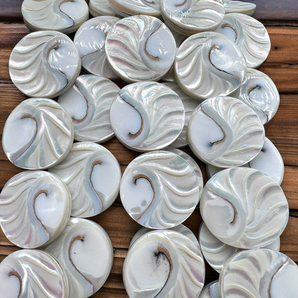 WOW Mermaid Nautilus Shell Beads AAA (Harmony Line) 3D Tactile Grooves - Thick Nacre - Never Dyed or Color Enhanced - Center Drilled Coin
