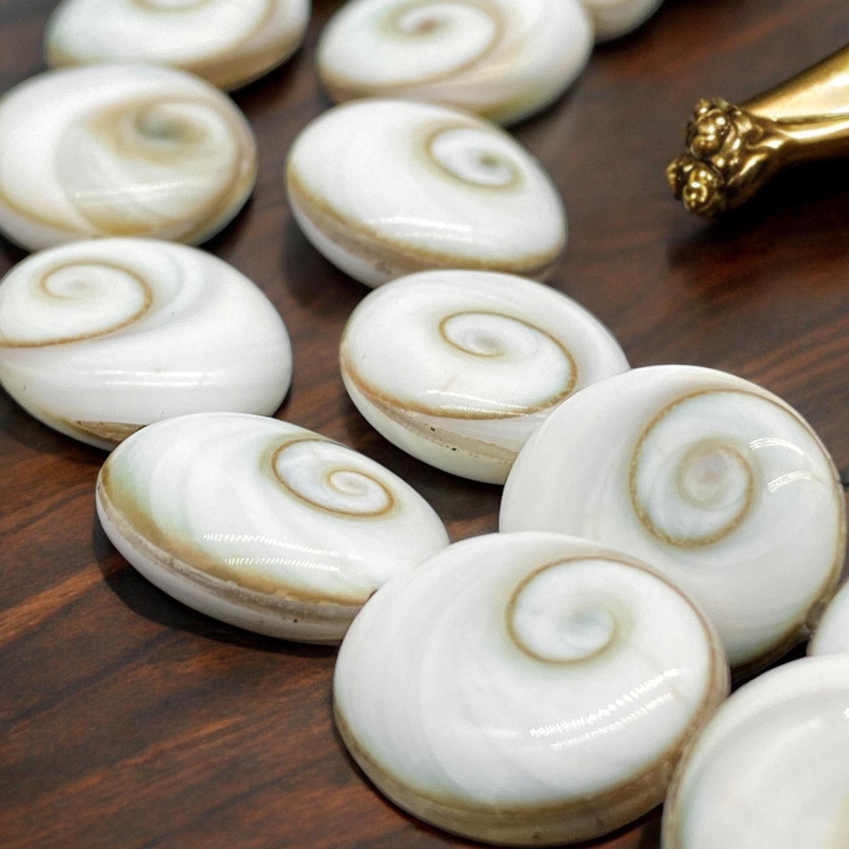 2in1 DOUBLET Shiva Eye Shell Beads From Indo-Pacific AAA (Extra Smooth - Matching Matrix) 100% Natural Never Dyed or Color Enhanced - Oval