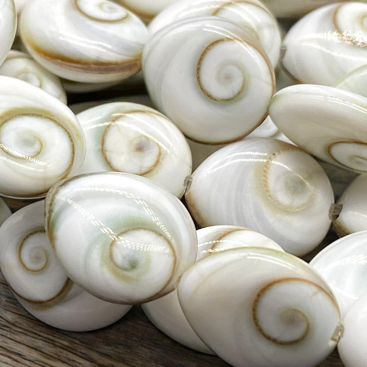2in1 DOUBLET Shiva Eye Shell Beads From Indo-Pacific AAA (Extra Smooth - Matching Matrix) Natural - Never Dyed or Color Enhanced - Tear Drop