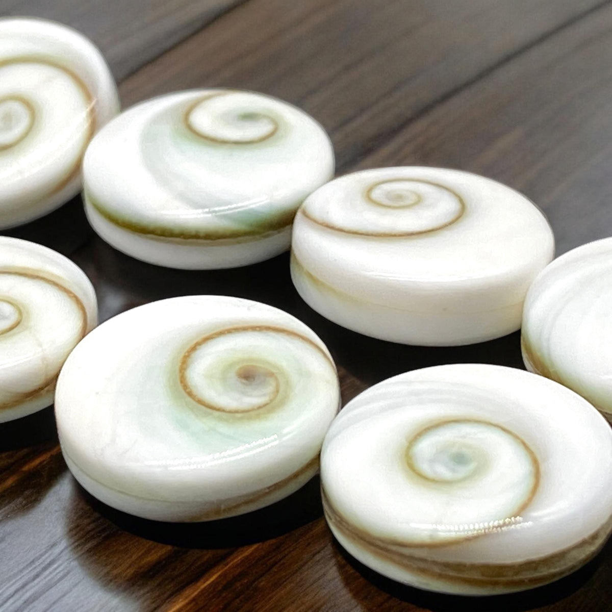 2in1 DOUBLET Shiva Eye Shell Beads From Indo-Pacific AAA (Extra Smooth - Matching Matrix) 100% Natural Never Dyed or Color Enhanced - Coin