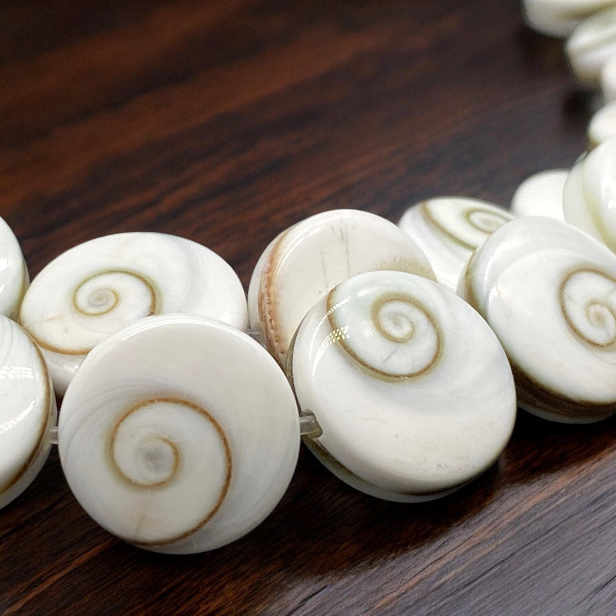 2in1 DOUBLET Shiva Eye Shell Beads From Indo-Pacific AAA (Extra Smooth - Matching Matrix) 100% Natural Never Dyed or Color Enhanced - Coin