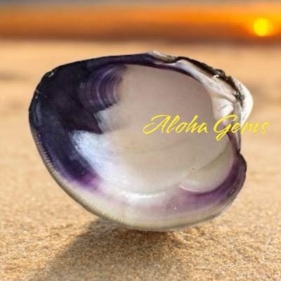 Bundle-10 Pcs Darkest Wampum Shell Pendant Bead USA Authentic East Coast Quahog - Never Dyed or Color Enhanced - Top Drilled Smooth Heart