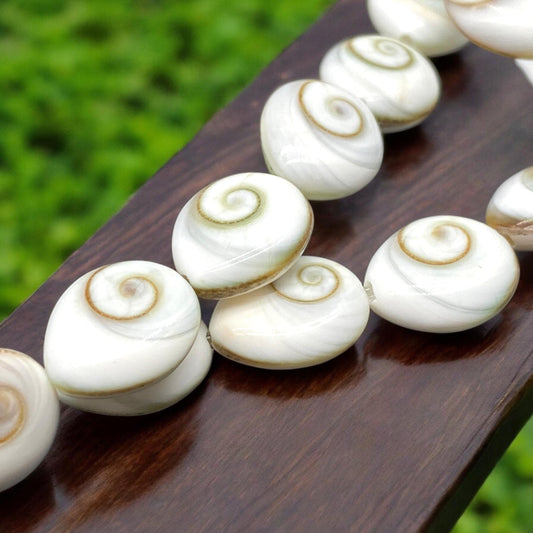 2in1 DOUBLET Shiva Eye Shell Beads From Indo-Pacific AAA (Extra Smooth - Matching Matrix) Natural - Never Dyed or Color Enhanced - Tear Drop