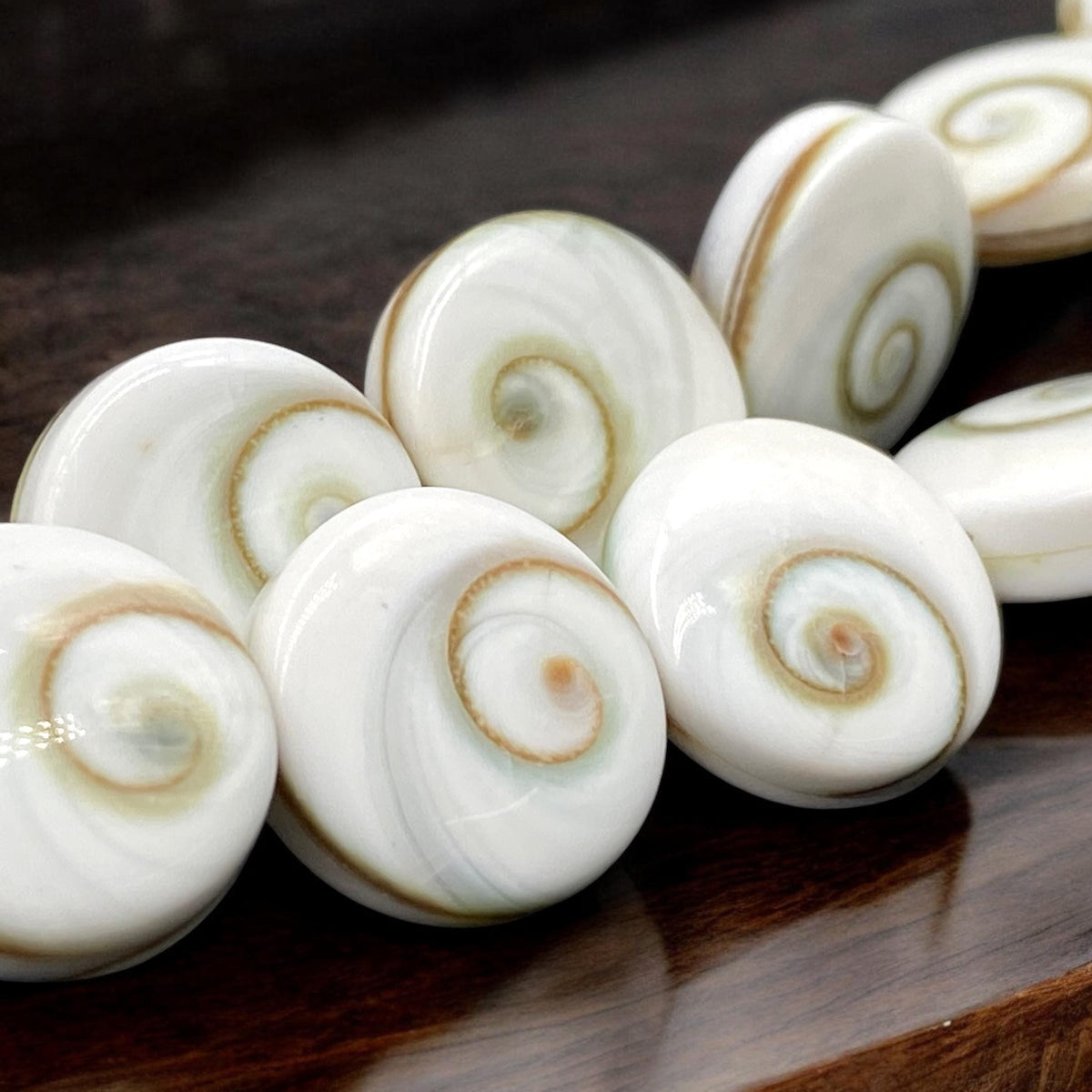 2in1 DOUBLET Shiva Eye Shell Beads From Indo-Pacific AAA (Extra Smooth - Matching Matrix) 100% Natural Never Dyed or Color Enhanced - Coin