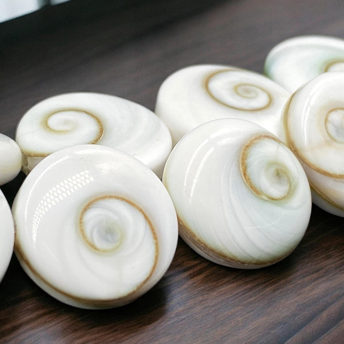 2in1 DOUBLET Shiva Eye Shell Beads From Indo-Pacific AAA (Extra Smooth - Matching Matrix) 100% Natural Never Dyed or Color Enhanced - Coin