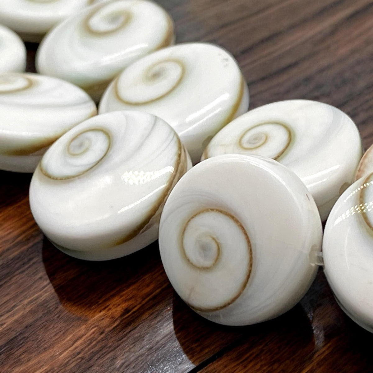 2in1 DOUBLET Shiva Eye Shell Beads From Indo-Pacific AAA (Extra Smooth - Matching Matrix) 100% Natural Never Dyed or Color Enhanced - Coin