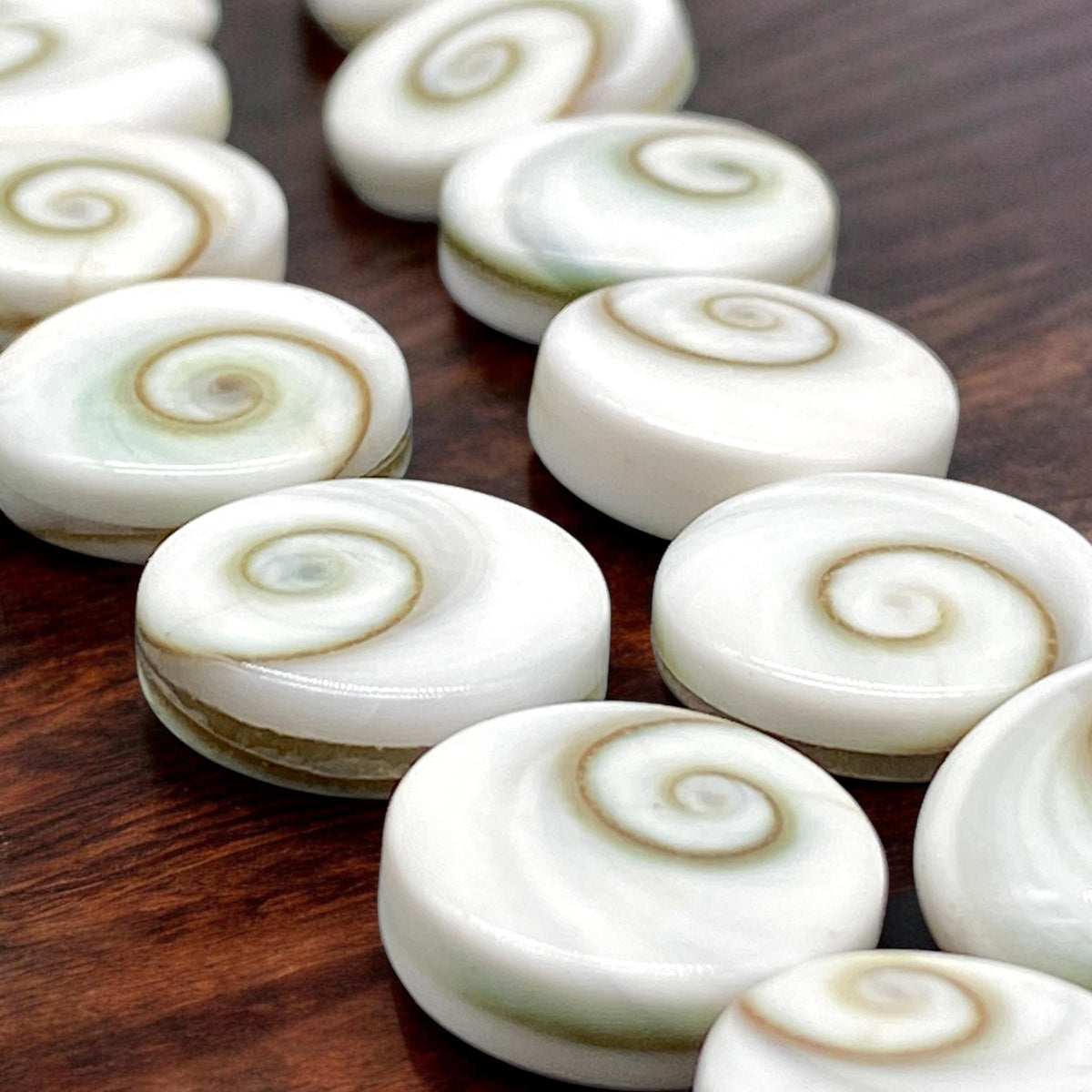 2in1 DOUBLET Shiva Eye Shell Beads From Indo-Pacific AAA (Extra Smooth - Matching Matrix) 100% Natural Never Dyed or Color Enhanced - Coin