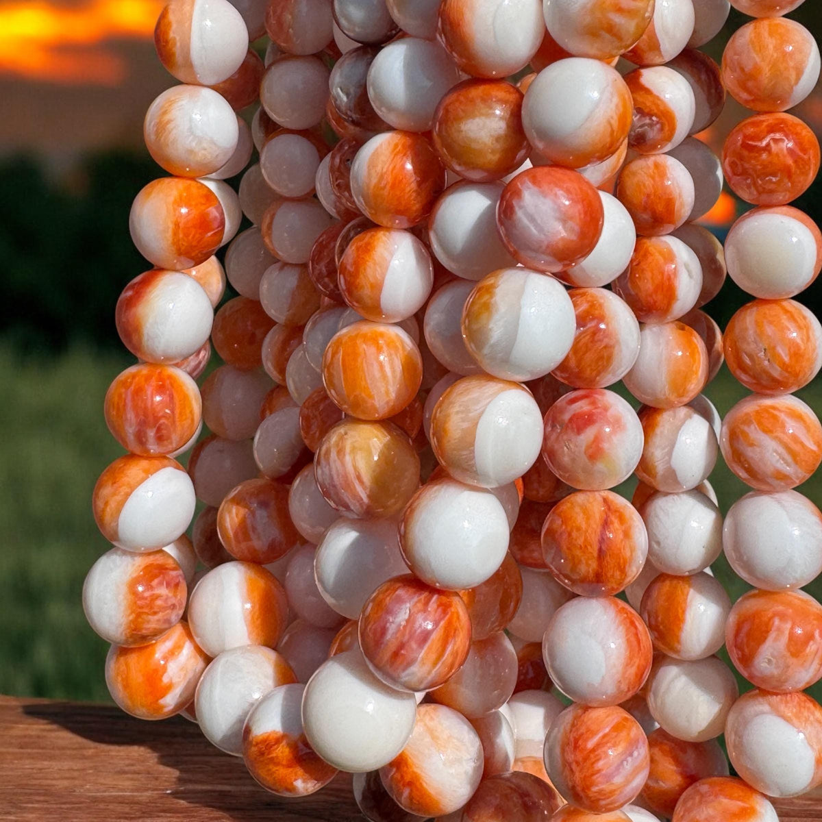 Graduated White Spiny Oyster Shell Beads with Light Orange Inclusions (Carved From Center of the Thickest Gigantic Shell) Round 8-12mm