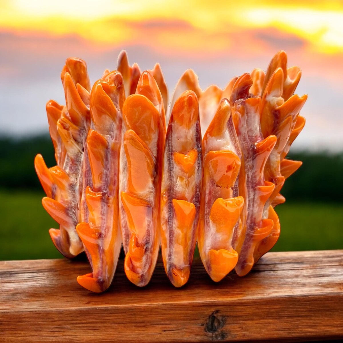 WOW Orange Spiny Oyster Shell Beads Bracelet Mexico - 100% Natural - Never Dyed or Color Enhanced - Double-Drilled Elastic 7"