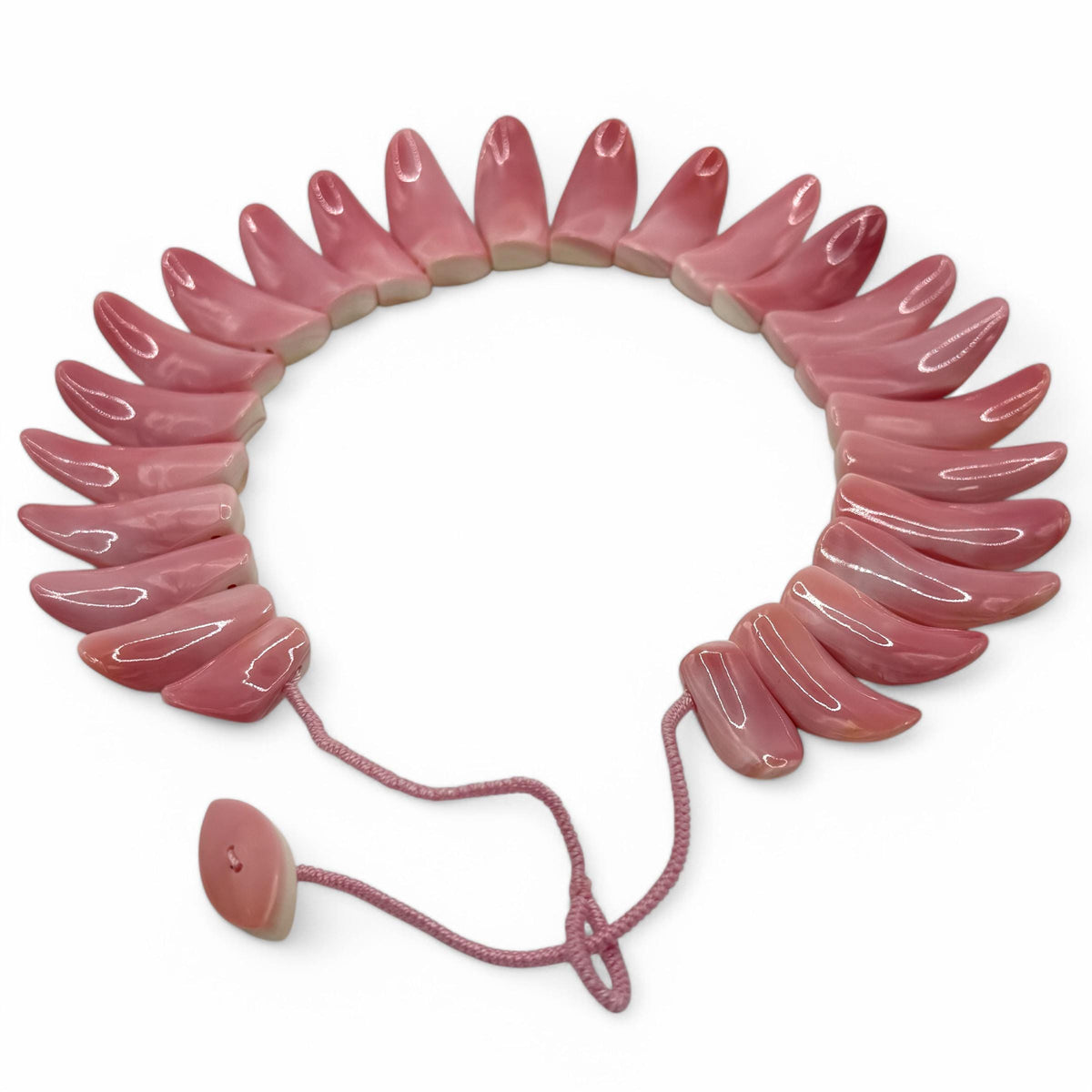 XL GRADUATED Bahamas Queen Conch Shell Beads Necklace AAA (Collection Grade) Not Dyed or Color Enhanced - Small Batch Production (25-45mm)