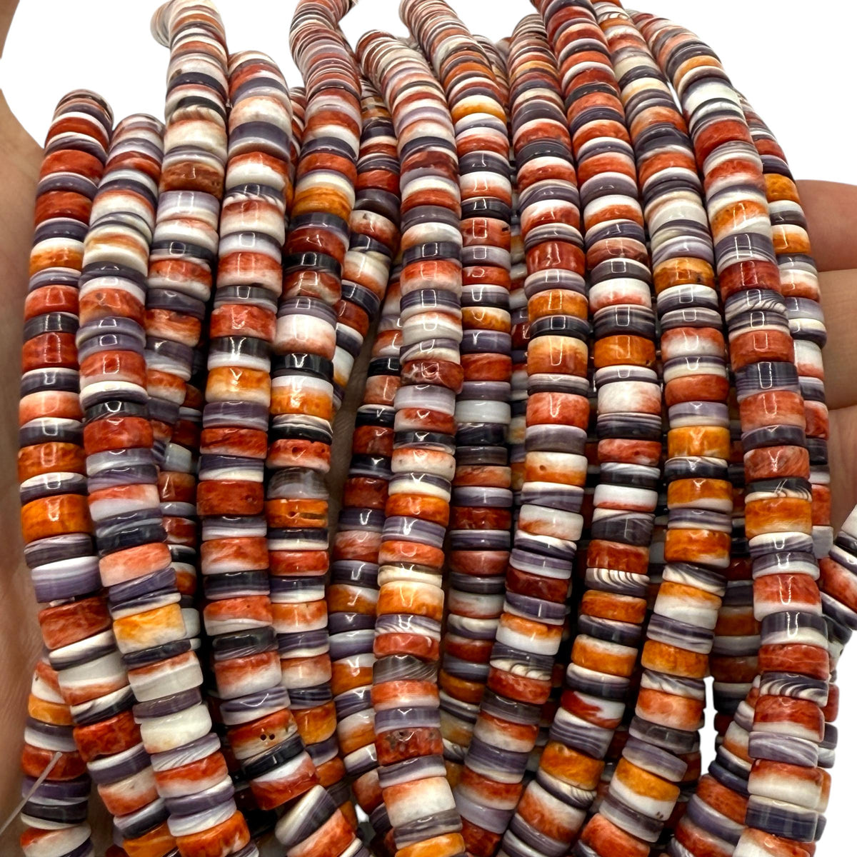 Spiny Oyster Shell Beads, Wampum Shell Beads