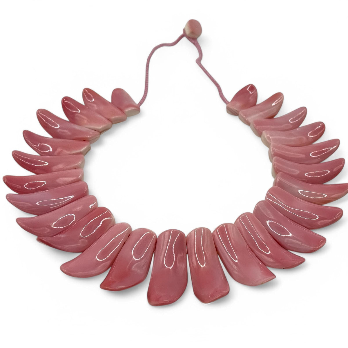 Queen Conch Shell Beads
