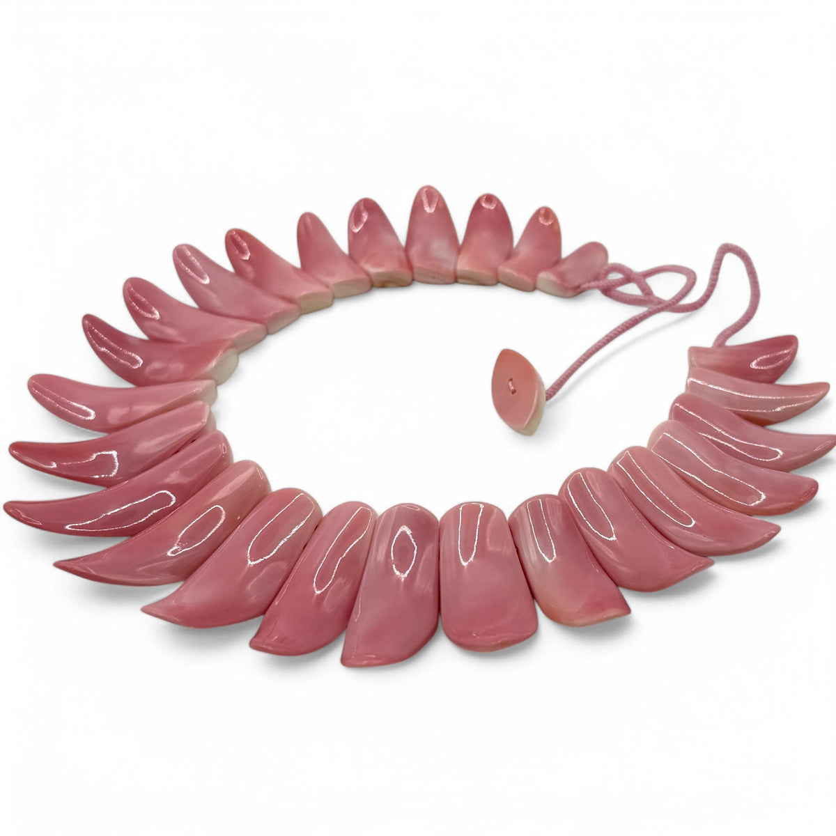 XL GRADUATED Bahamas Queen Conch Shell Beads Necklace AAA (Collection Grade) Not Dyed or Color Enhanced - Small Batch Production (25-45mm)