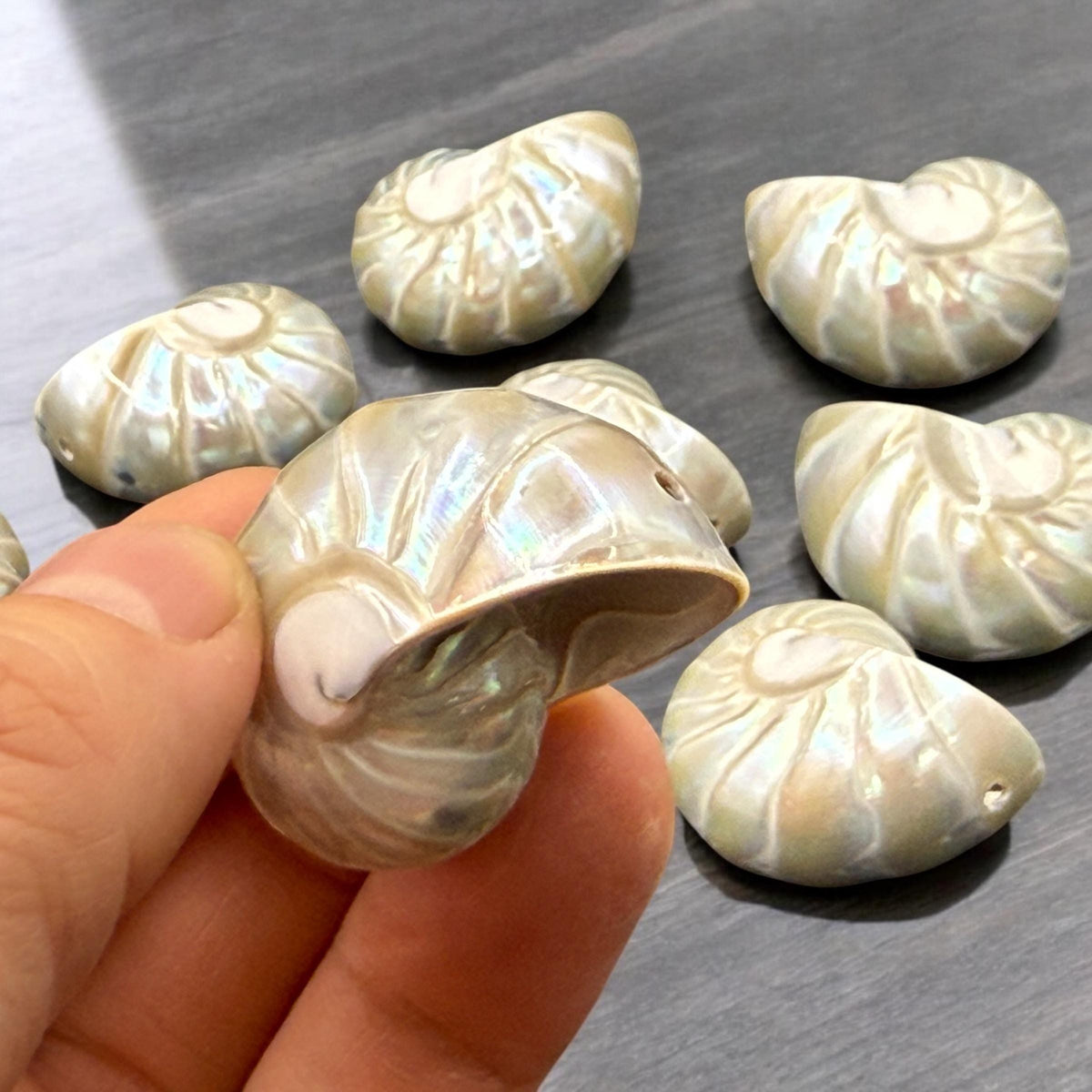 Real Mermaid Nautilus Pendant AAA (Thick Nacre - Iridescent Flash) Never Dyed or Color Enhanced - Mirror Polish 35mm (1 Piece)
